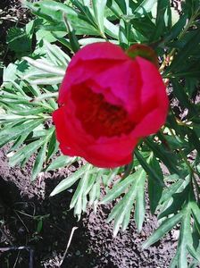Photo0219
