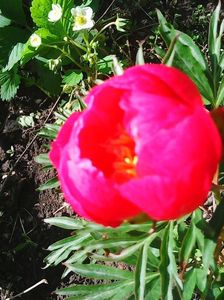 Photo0220