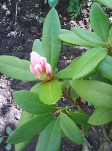 Photo0221