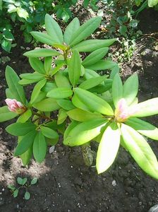 Photo0222