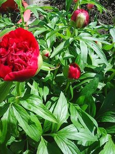 Photo0224