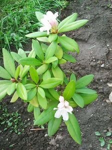Photo0226