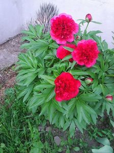 Photo0228