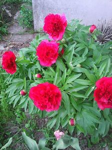 Photo0229