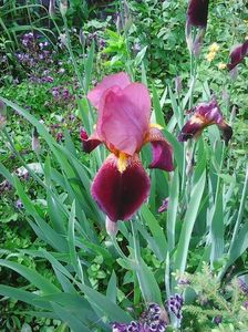 Photo0230