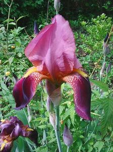 Photo0231