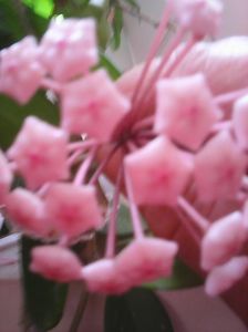 Photo0236