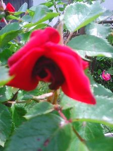 Photo0240