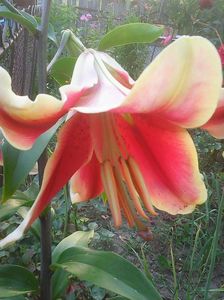 Photo0276