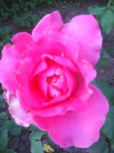 Photo0281