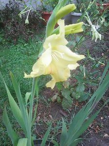 Photo0308