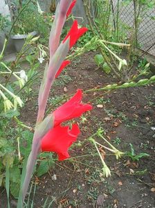 Photo0309