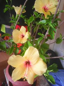 Photo0314