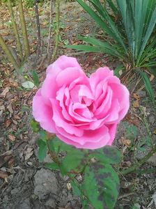 Photo0316