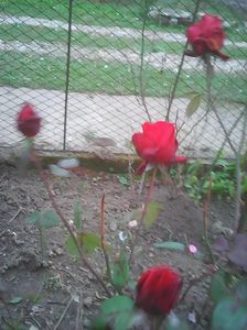 Photo0321