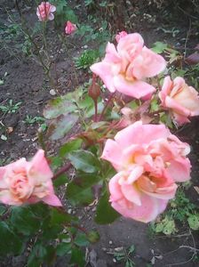 Photo0324