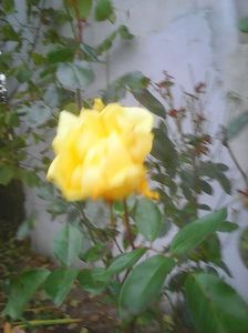 Photo0328