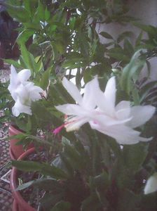 Photo0333