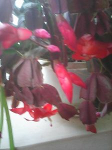 Photo0346