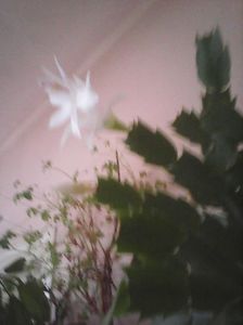 Photo0359