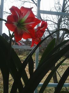 Photo0361