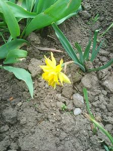 Photo0371