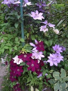 IMGP0415