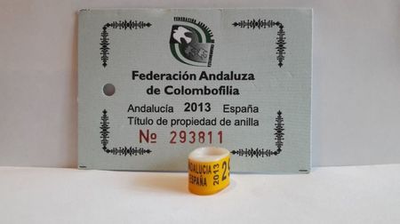 ESPANA 2013 ANDALUCIA FAC