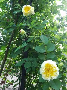 20170523_195505[1]