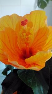 P_20170525_090010