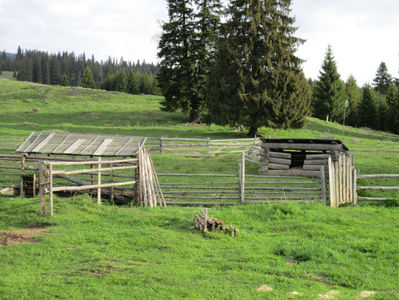 adapostul porcilor-5bd