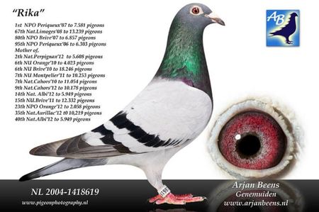nl04-1418619_Rika_beens_0