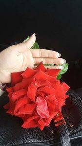 received_1308992989136674