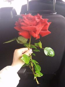 received_1308992159136757