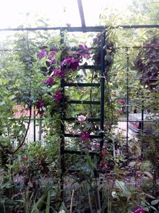 received_1036038923100315