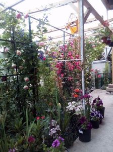 received_1036039003100307