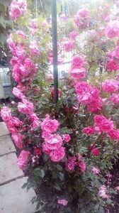 received_1036039053100302