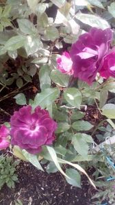 received_1036042993099908