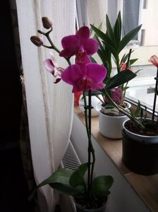 27 mai 2017