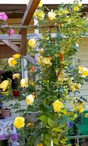 received_1355486727822198