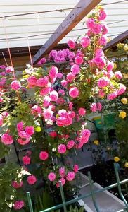 received_1355486917822179