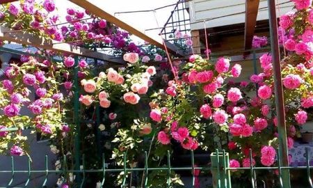 received_1355487387822132