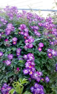 received_1356293447741526