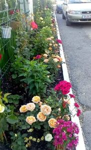 received_1356294704408067