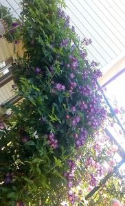 received_1356366671067537