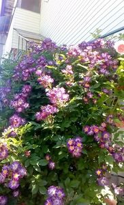 received_1356367171067487