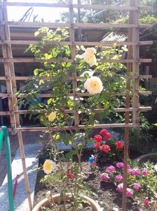 received_1350804338339275