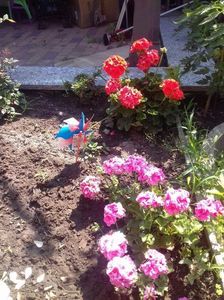 received_1350804035005972