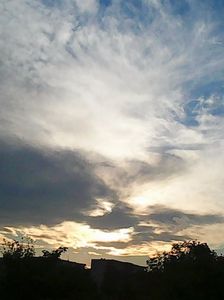 Photo4534
