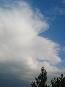 Photo4698